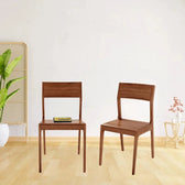 SOLIDWOOD SET OF 2 CHAIRS My Store