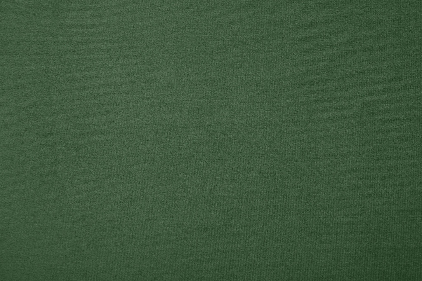 Modern Olive Green 2-Seat Fabric sofa -