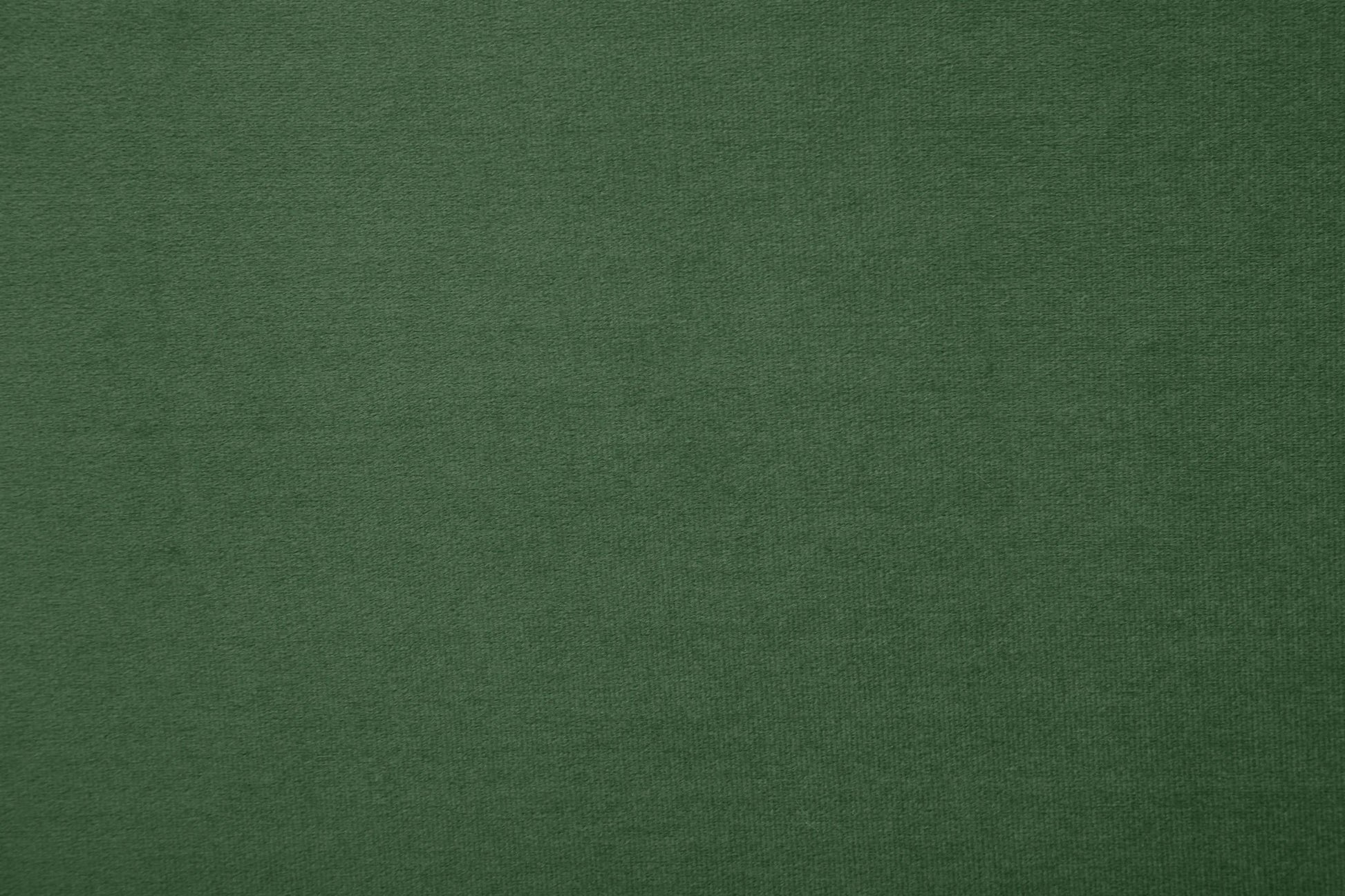 Modern Olive Green 2-Seat Fabric sofa -